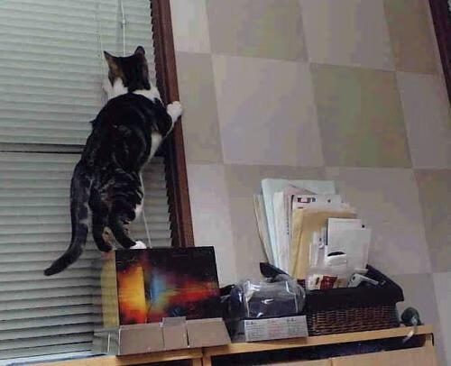 爱游戏平台体验-末尾保级区球队的“生死局”,胜负关乎未来,保级队球迷