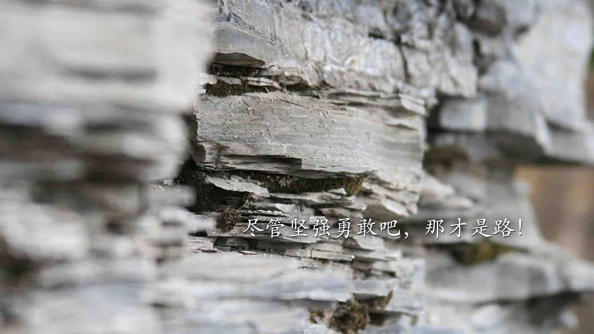 爱游戏体育-篮球运动员伤病预防与康复技术研究，篮球运动员疾病