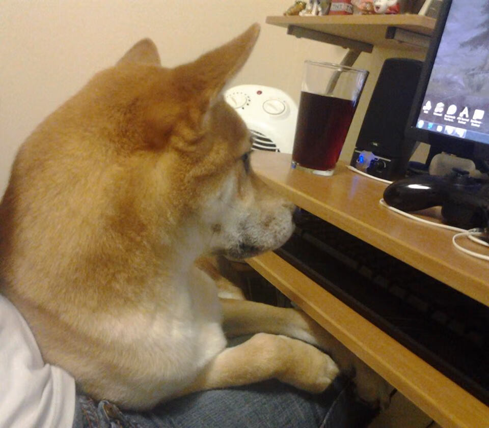 爱游戏中国-英超传球配合精彩绝伦，精彩瞬间令人震撼，英超长传