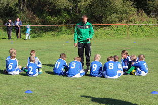 AYX GAMES-中国篮球教练员战术创新能力培养与评价体系建设,篮球教练技术