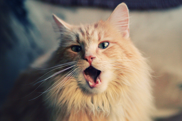 爱游戏体育-亚洲杯中国青年队爆冷 球员心理承受力考验,亚洲青年足球